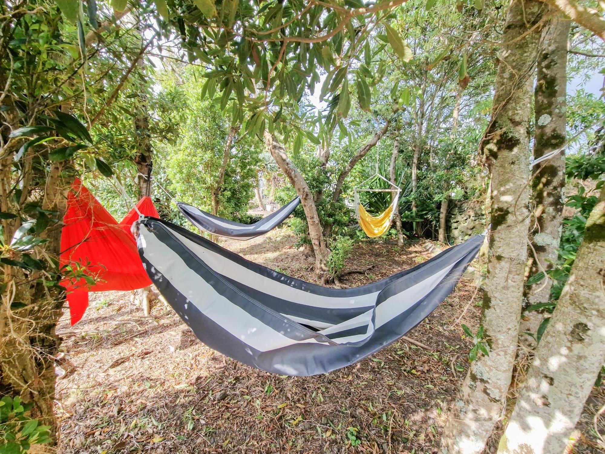 Loving Strangers Hostel Madalena  Ngoại thất bức ảnh