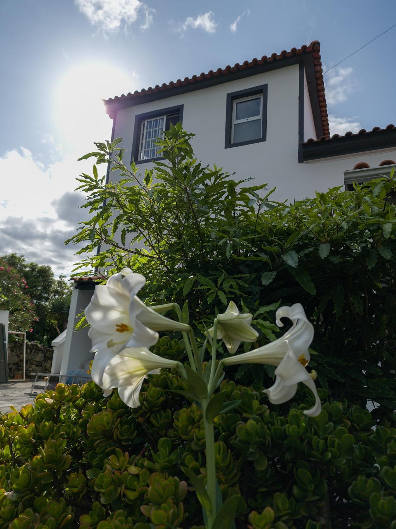 Loving Strangers Hostel Madalena  Ngoại thất bức ảnh