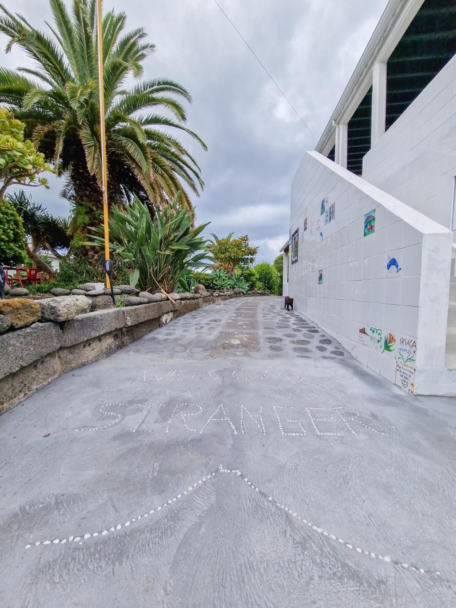 Loving Strangers Hostel Madalena  Ngoại thất bức ảnh