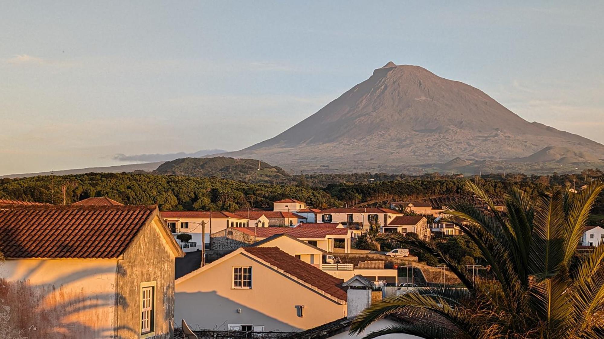 Loving Strangers Hostel Madalena  Ngoại thất bức ảnh